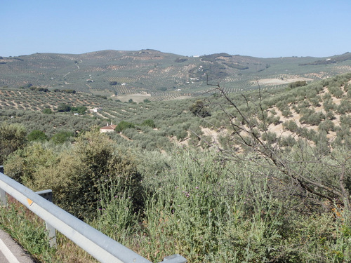 On the road to Montefr&iacute;o.